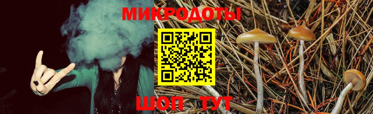 Таганрог  Псилоцибиновые грибы Psilocybe  Вход с VPN 